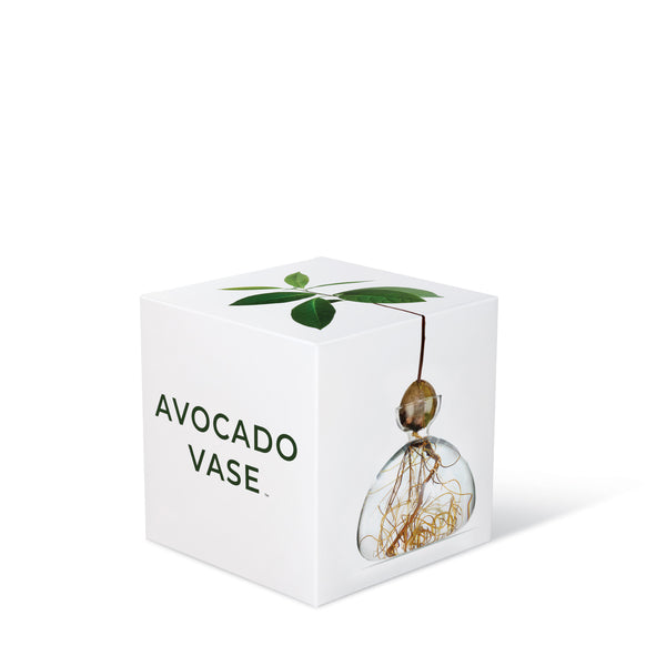 AVOCADO Vase